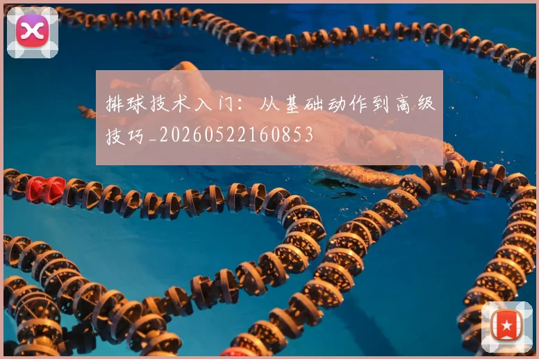 排球技术入门：从基础动作到高级技巧_20260522160853